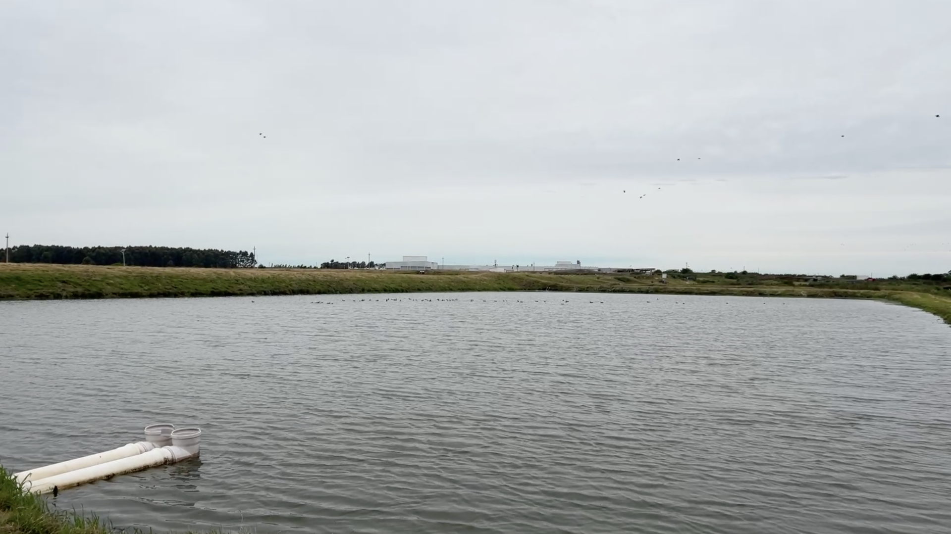 Lago