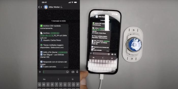 Worker Whatsapp!