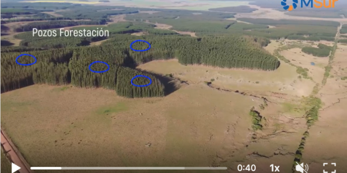 Cuencas forestales