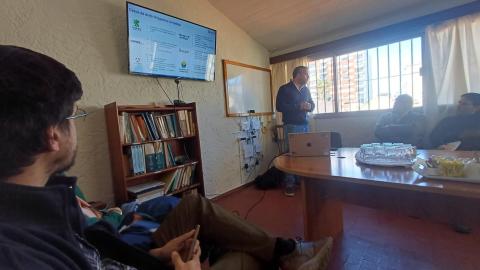 Estudio Pittamiglio