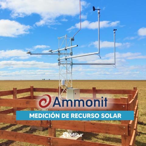 Solar_Ammonit